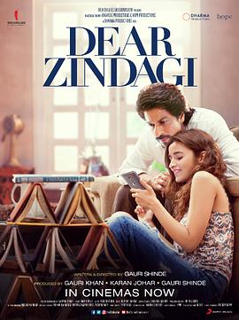 美好的人生(全集)