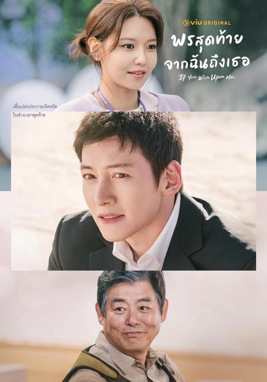 若你说出愿望(全集)