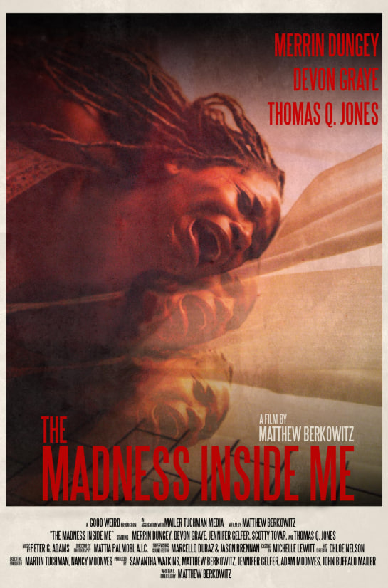 我内心的疯狂(全集)