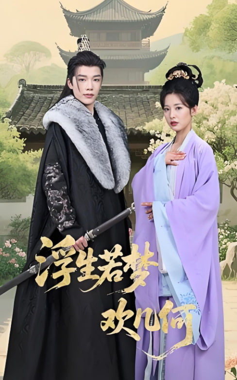 浮生若梦欢几何(全集)