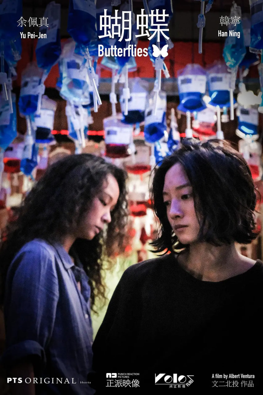 蝴蝶 2021(全集)