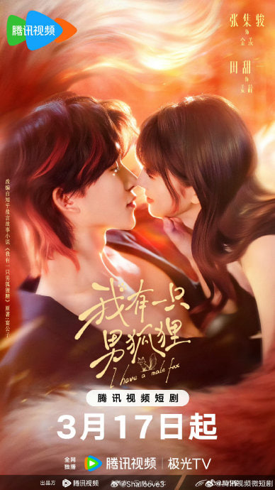 我有一只男狐狸(全集)