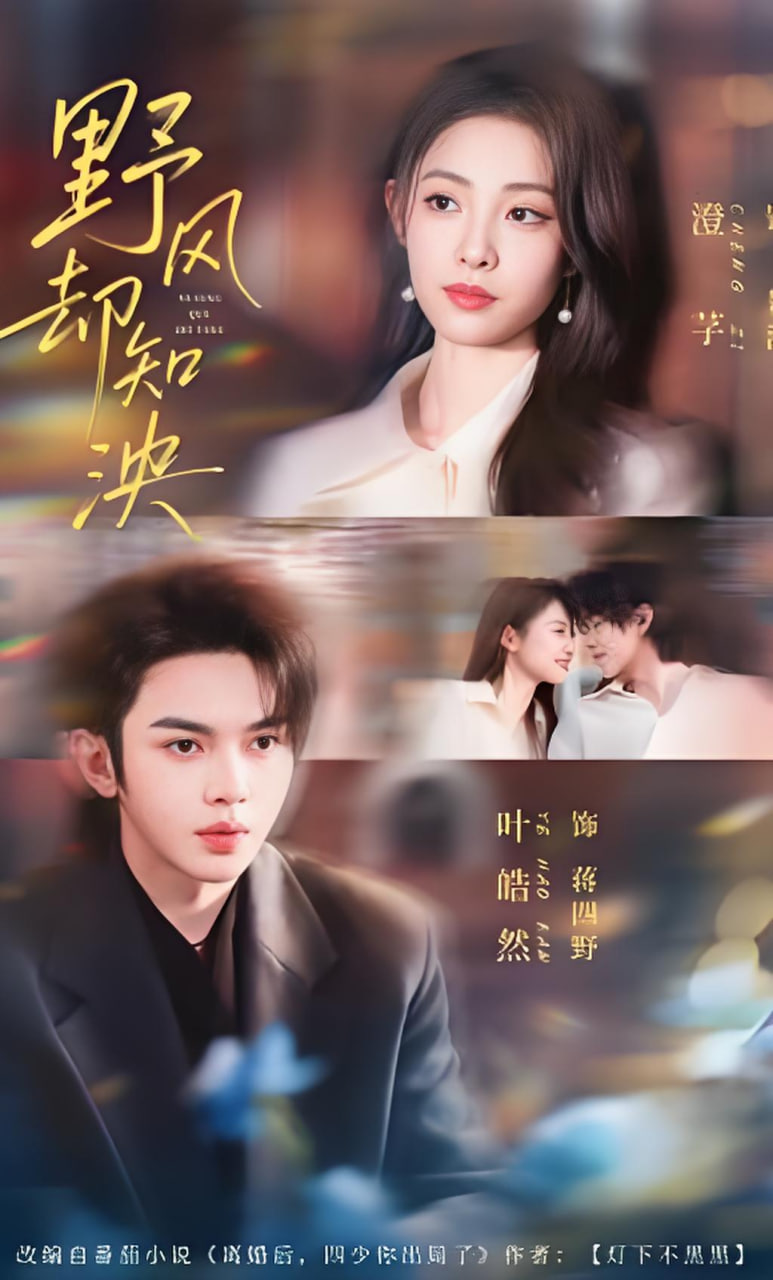 野风却知泱(全集)