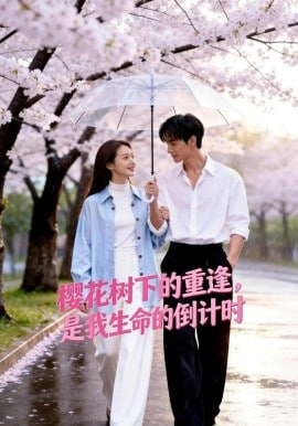 樱花树下的重逢，是我生命的倒计时(全集)