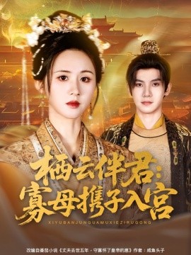 栖云伴君寡母携子入宫(全集)