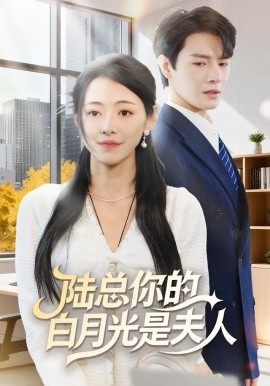 陆总你的白月光是夫人(全集)