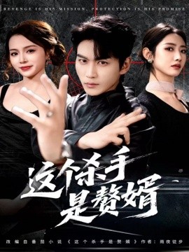 这个杀手是赘婿(全集)