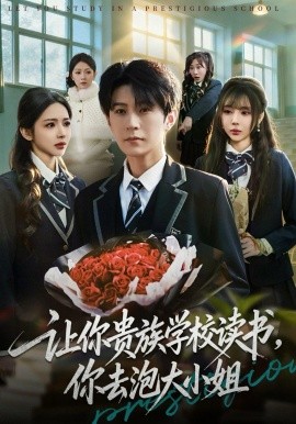 你贵族学校读书，你去泡大小姐(全集)