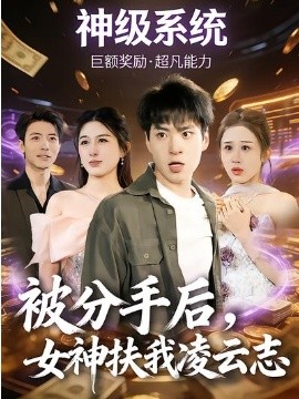 被分手后，女神扶我凌云志(全集)