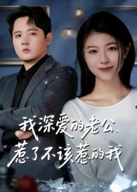 我深爱的老公，惹了不该惹的我(全集)