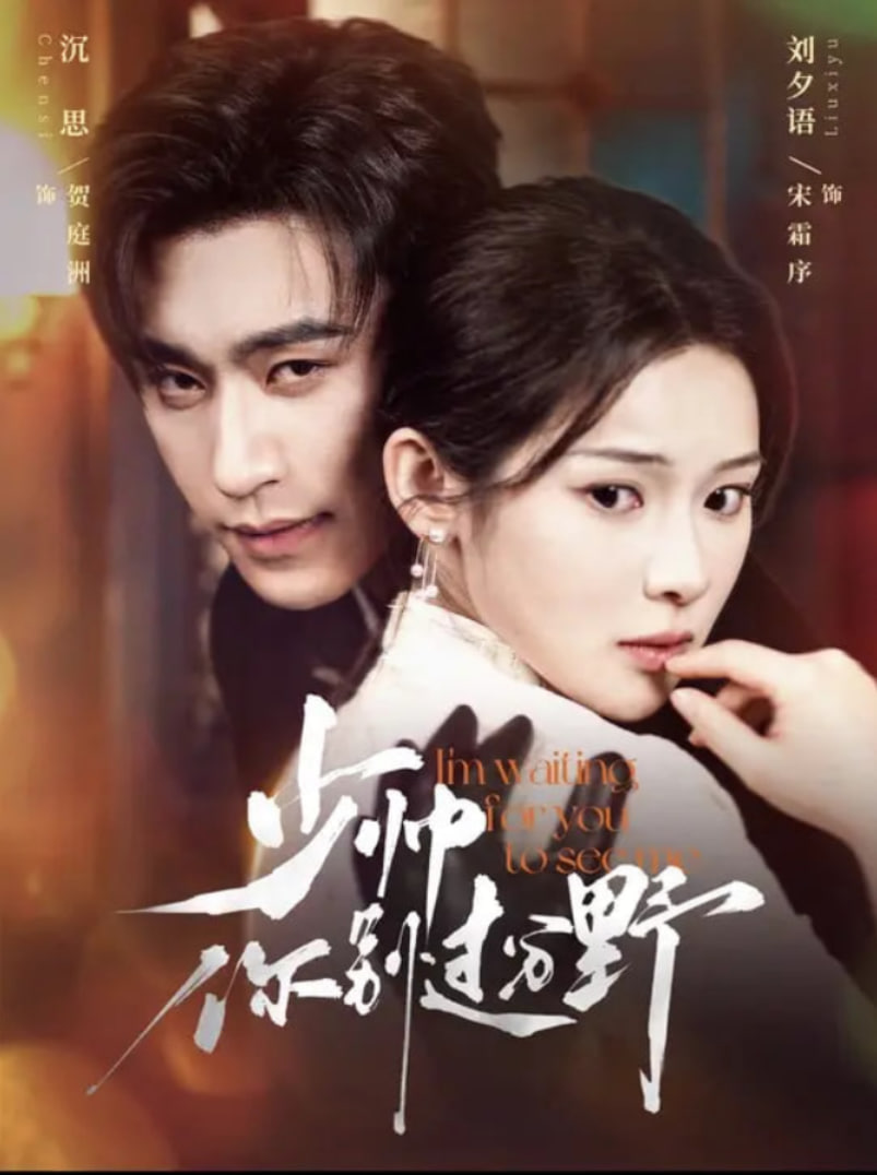 少帅你别过分野(全集)