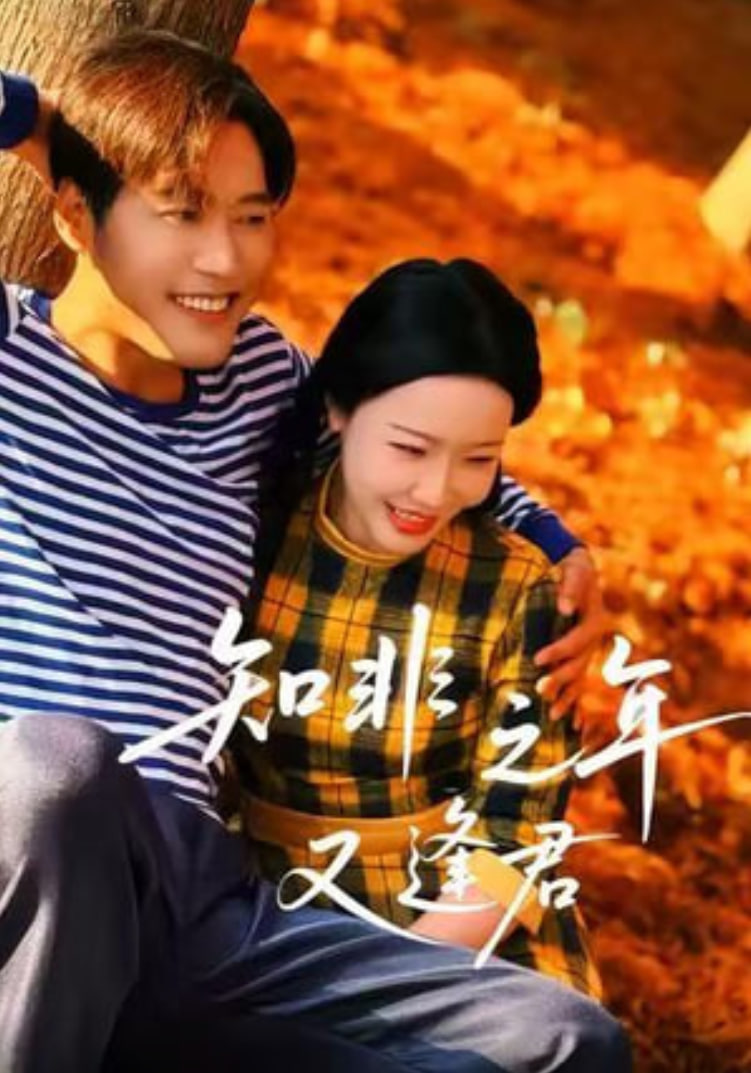 知非之年又逢君(全集)